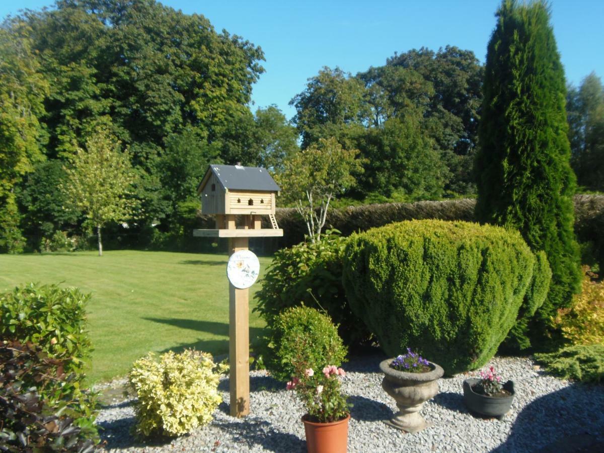 Cloghan Lodge Castleisland Kültér fotó