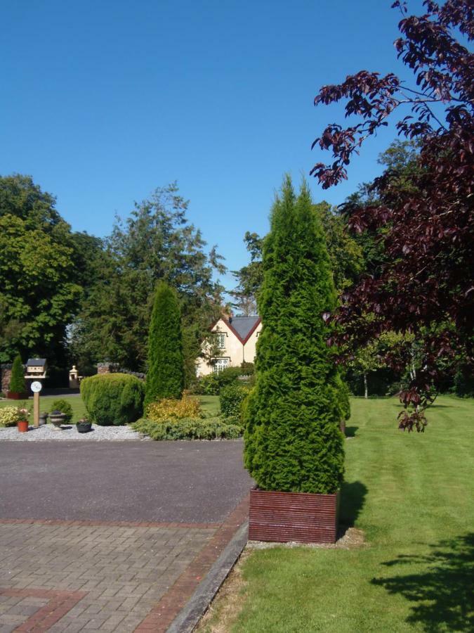 Cloghan Lodge Castleisland Kültér fotó