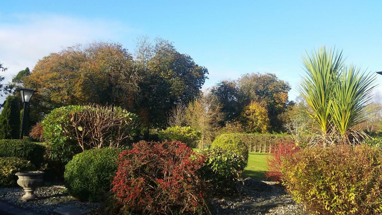 Cloghan Lodge Castleisland Kültér fotó