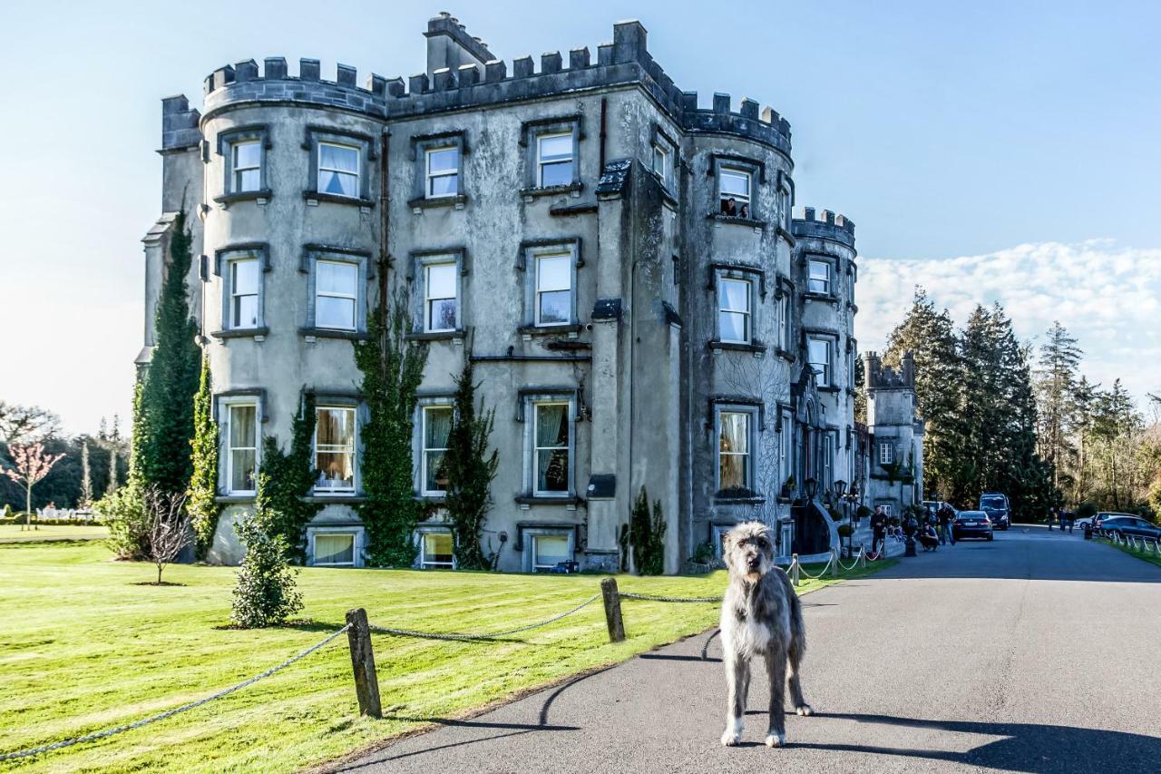 Cloghan Lodge Castleisland Kültér fotó
